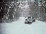 16FEB006