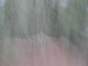 DSCN9880